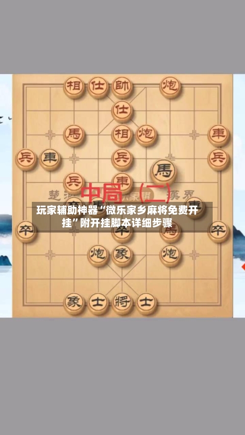 玩家辅助神器“微乐家乡麻将免费开挂	”附开挂脚本详细步骤-第2张图片