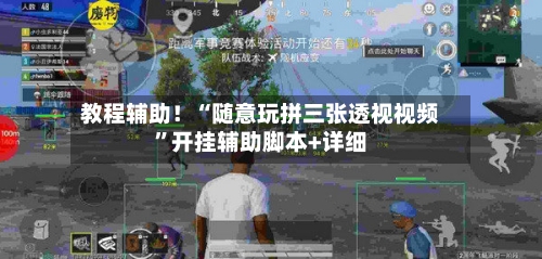 教程辅助！“随意玩拼三张透视视频”开挂辅助脚本+详细-第1张图片