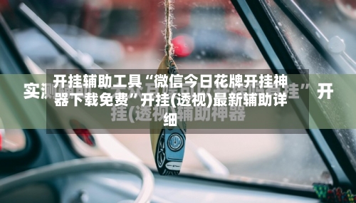 开挂辅助工具“微信今日花牌开挂神器下载免费”开挂(透视)最新辅助详细-第3张图片