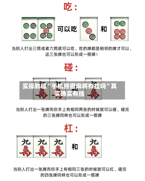 实操教程“手机熊猫麻将有挂吗”其实确实有挂-第1张图片