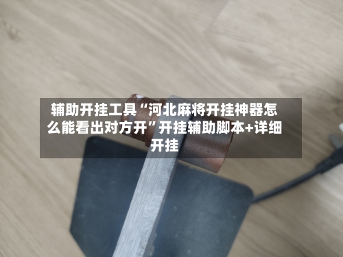 辅助开挂工具“河北麻将开挂神器怎么能看出对方开	”开挂辅助脚本+详细开挂-第2张图片