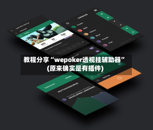 教程分享“wepoker透视挂辅助器	”(原来确实是有插件)-第2张图片