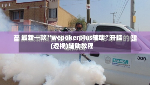 最新一款“wepokerplus辅助”开挂(透视)辅助教程-第1张图片