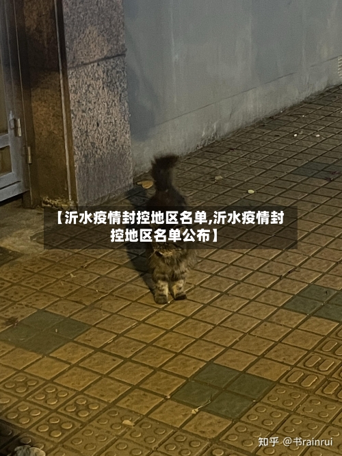 【沂水疫情封控地区名单,沂水疫情封控地区名单公布】-第1张图片