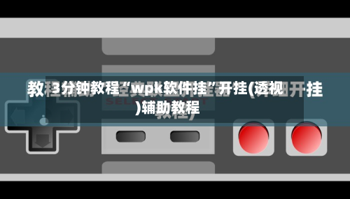 3分钟教程“wpk软件挂	”开挂(透视)辅助教程-第1张图片