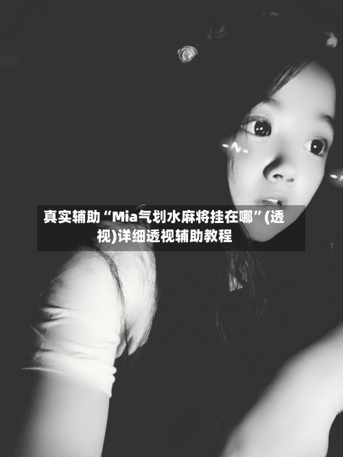 真实辅助“Mia气划水麻将挂在哪	”(透视)详细透视辅助教程-第1张图片