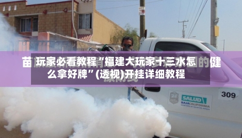 玩家必看教程“福建大玩家十三水怎么拿好牌	”(透视)开挂详细教程-第1张图片