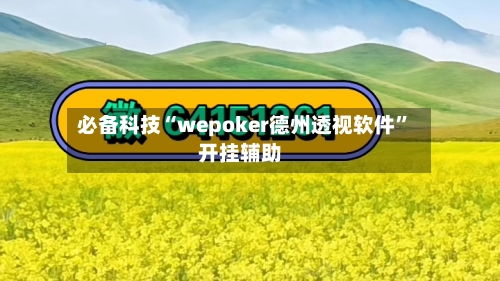 必备科技“wepoker德州透视软件	”开挂辅助-第2张图片