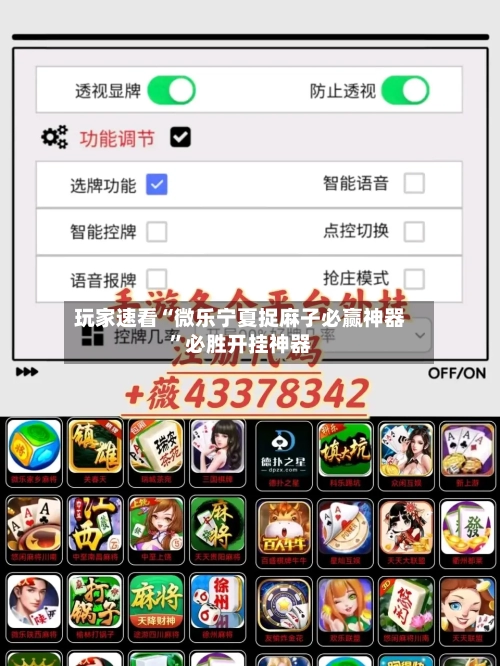 玩家速看“微乐宁夏捉麻子必赢神器”必胜开挂神器-第2张图片