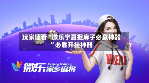 玩家速看“微乐宁夏捉麻子必赢神器”必胜开挂神器-第3张图片