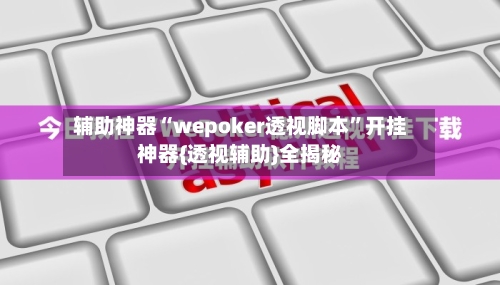 辅助神器“wepoker透视脚本”开挂神器{透视辅助}全揭秘-第2张图片