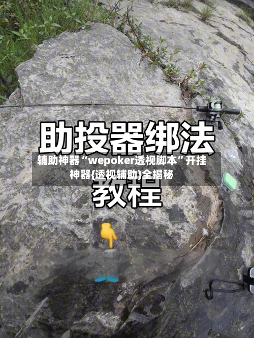 辅助神器“wepoker透视脚本”开挂神器{透视辅助}全揭秘-第3张图片