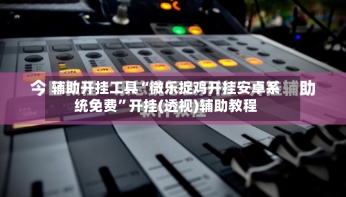 辅助开挂工具“微乐捉鸡开挂安卓系统免费”开挂(透视)辅助教程-第2张图片