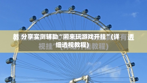 分享实测辅助“闲来玩游戏开挂	”(详细透视教程)-第3张图片