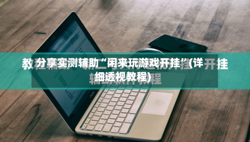 分享实测辅助“闲来玩游戏开挂”(详细透视教程)-第2张图片