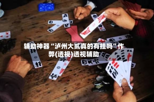 辅助神器“泸州大贰真的有挂吗”作弊(透视)透视辅助-第1张图片