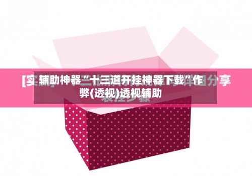 辅助神器“十三道开挂神器下载”作弊(透视)透视辅助-第1张图片