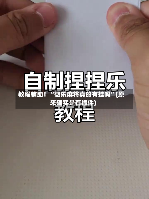 教程辅助！“微乐麻将真的有挂吗	”(原来确实是有插件)-第1张图片