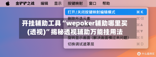 开挂辅助工具“wepoker辅助哪里买(透视)	”揭秘透视辅助万能挂用法-第1张图片