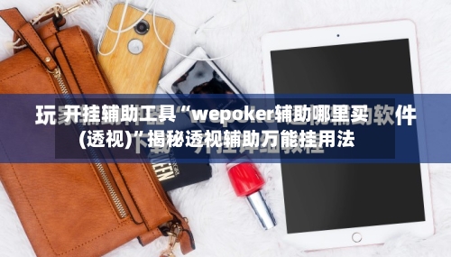 开挂辅助工具“wepoker辅助哪里买(透视)”揭秘透视辅助万能挂用法-第2张图片
