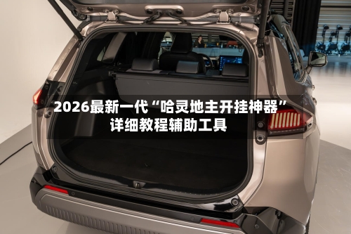2026最新一代“哈灵地主开挂神器	”详细教程辅助工具-第1张图片