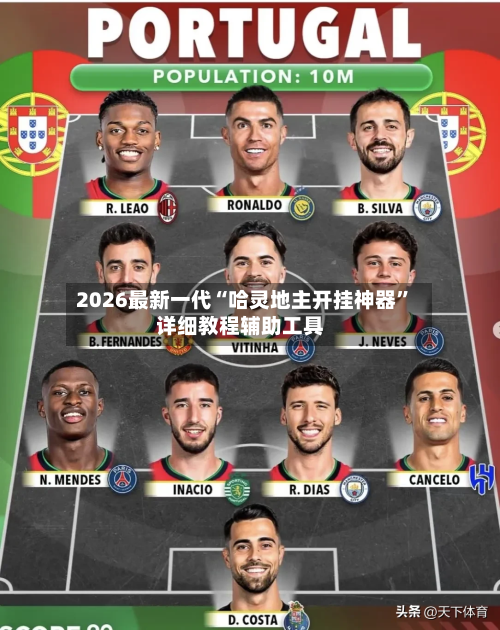 2026最新一代“哈灵地主开挂神器”详细教程辅助工具-第2张图片