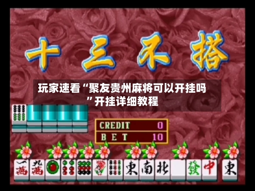 玩家速看“聚友贵州麻将可以开挂吗	”开挂详细教程-第2张图片