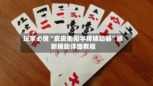 玩家必搜“皮皮衡阳字牌辅助器	”最新辅助详细教程-第1张图片