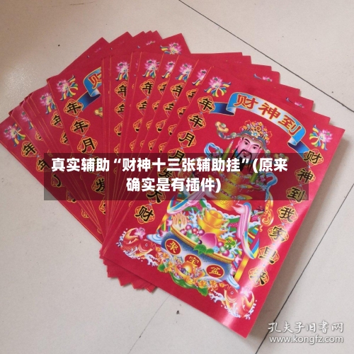 真实辅助“财神十三张辅助挂	”(原来确实是有插件)-第1张图片