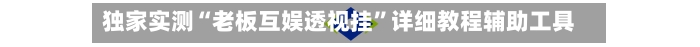 独家实测“老板互娱透视挂”详细教程辅助工具-第2张图片