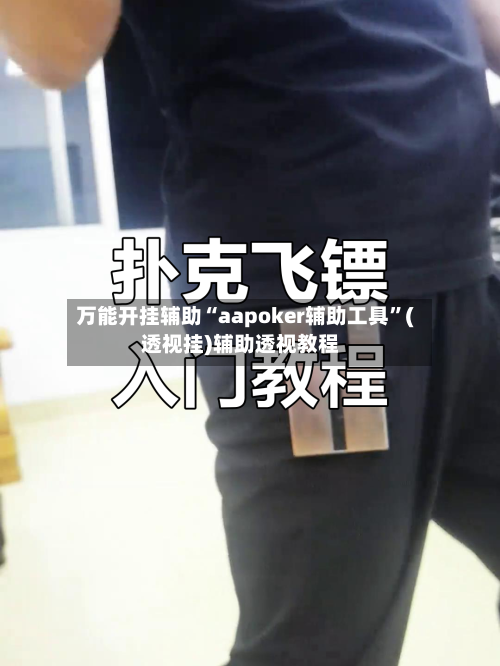 万能开挂辅助“aapoker辅助工具”(透视挂)辅助透视教程-第2张图片
