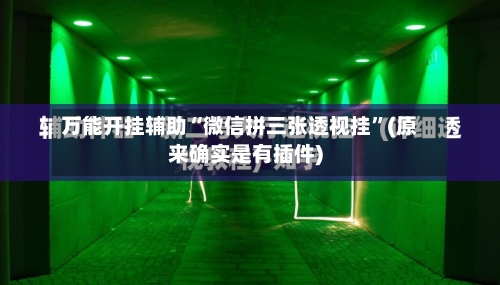 万能开挂辅助“微信拼三张透视挂”(原来确实是有插件)-第2张图片