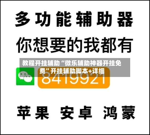 教程开挂辅助“微乐辅助神器开挂免费”开挂辅助脚本+详细-第1张图片