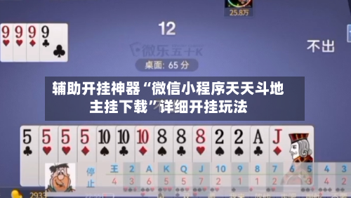 辅助开挂神器“微信小程序天天斗地主挂下载	”详细开挂玩法-第2张图片