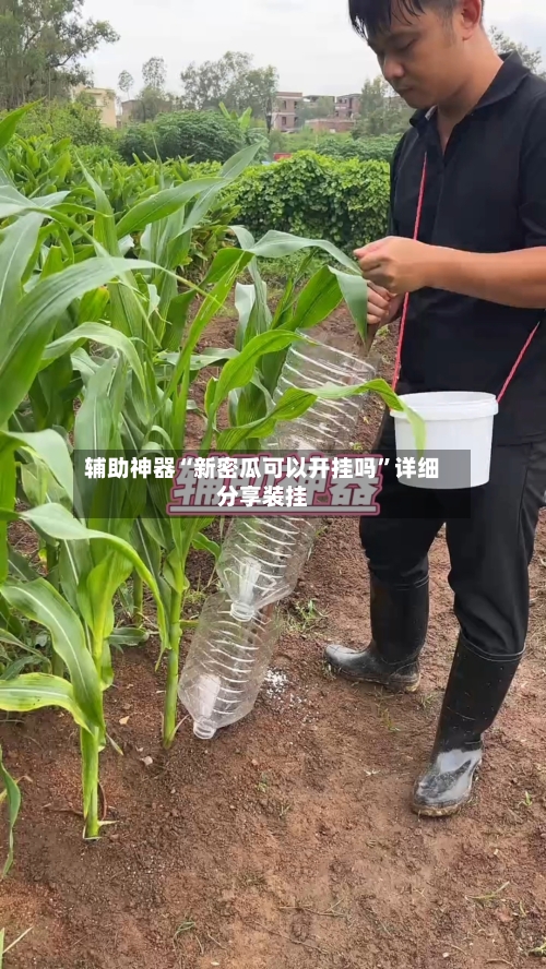 辅助神器“新密瓜可以开挂吗”详细分享装挂-第1张图片