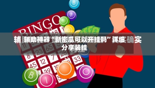 辅助神器“新密瓜可以开挂吗”详细分享装挂-第3张图片