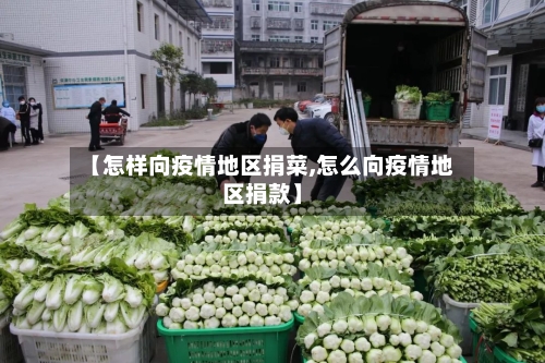 【怎样向疫情地区捐菜,怎么向疫情地区捐款】-第2张图片