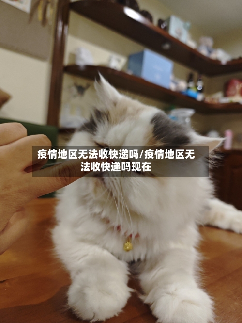 疫情地区无法收快递吗/疫情地区无法收快递吗现在-第3张图片