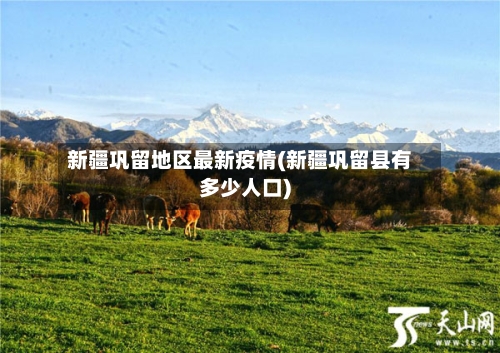新疆巩留地区最新疫情(新疆巩留县有多少人口)-第2张图片
