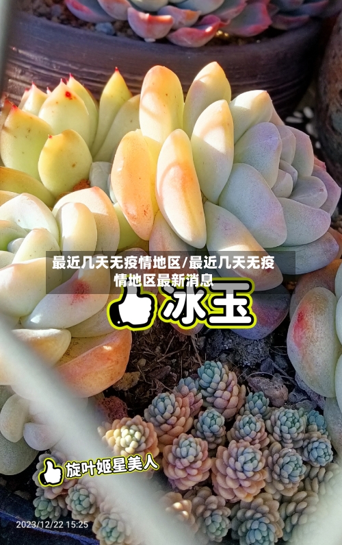 最近几天无疫情地区/最近几天无疫情地区最新消息-第3张图片