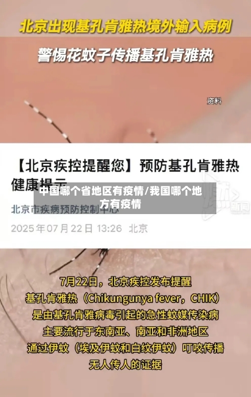 中国哪个省地区有疫情/我国哪个地方有疫情-第1张图片