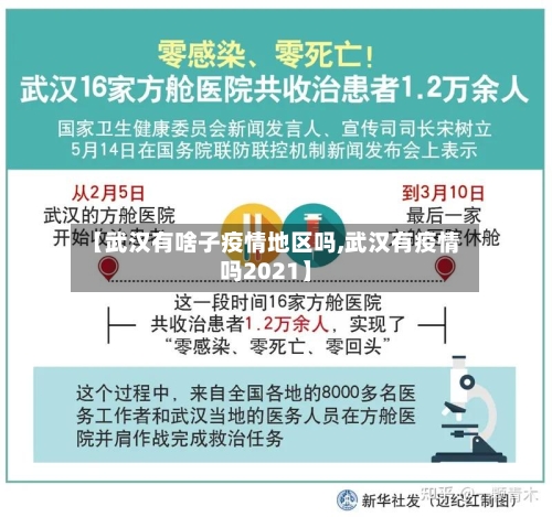 【武汉有啥子疫情地区吗,武汉有疫情吗2021】-第2张图片