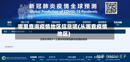 哪里查询疫情地区信息呢(从哪查疫情地区)-第1张图片