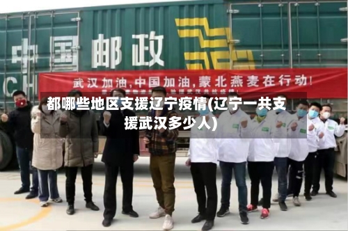 都哪些地区支援辽宁疫情(辽宁一共支援武汉多少人)-第1张图片