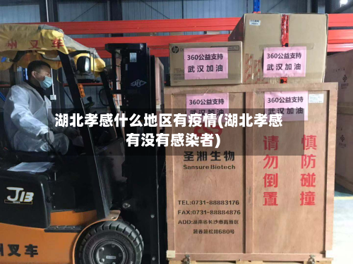 湖北孝感什么地区有疫情(湖北孝感有没有感染者)-第2张图片