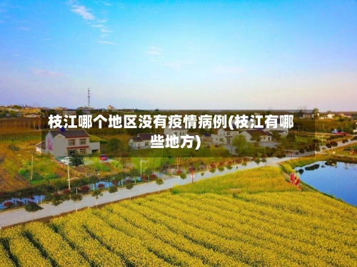 枝江哪个地区没有疫情病例(枝江有哪些地方)-第1张图片