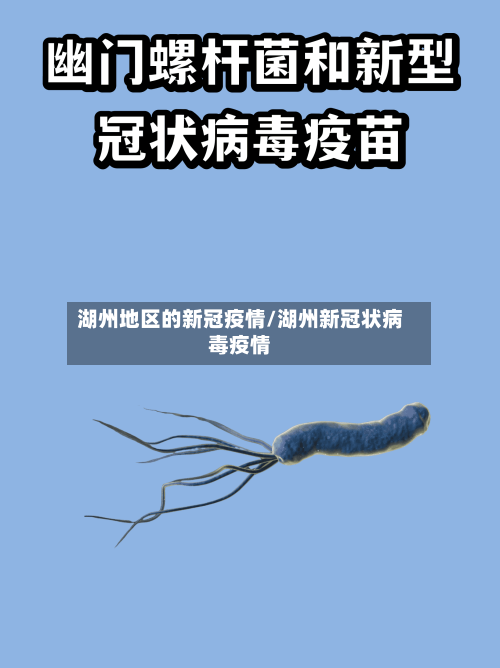 湖州地区的新冠疫情/湖州新冠状病毒疫情-第1张图片