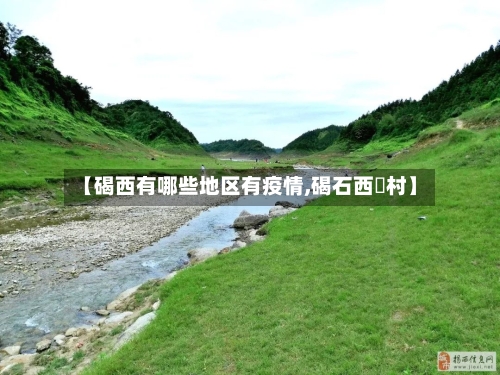 【碣西有哪些地区有疫情,碣石西輋村】-第2张图片