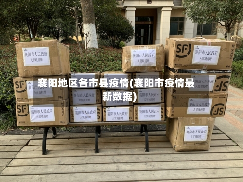 襄阳地区各市县疫情(襄阳市疫情最新数据)-第2张图片