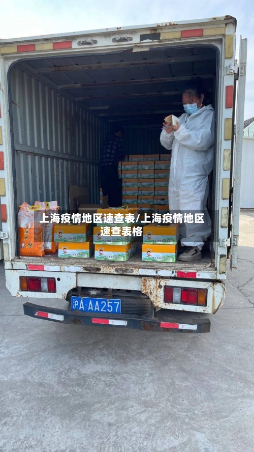 上海疫情地区速查表/上海疫情地区速查表格-第2张图片